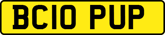 BC10PUP