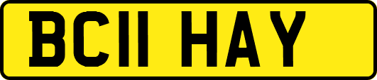 BC11HAY
