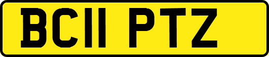 BC11PTZ