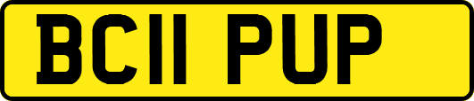 BC11PUP