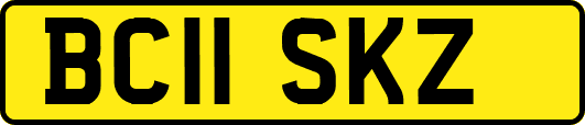 BC11SKZ