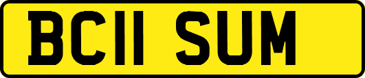 BC11SUM