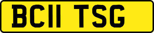 BC11TSG