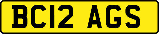 BC12AGS