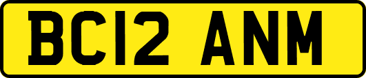 BC12ANM