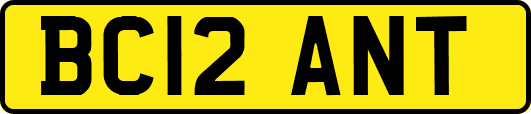 BC12ANT