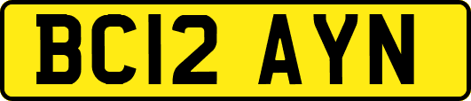BC12AYN