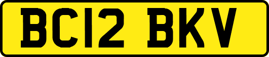 BC12BKV