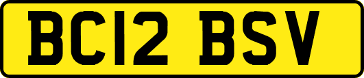 BC12BSV
