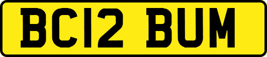 BC12BUM
