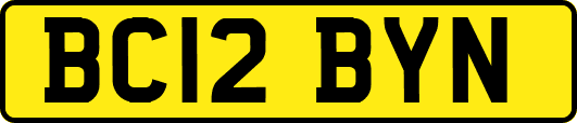 BC12BYN