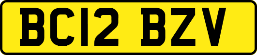BC12BZV