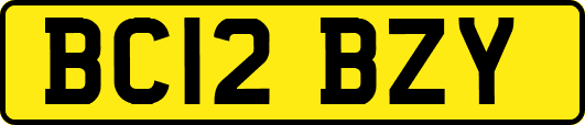 BC12BZY
