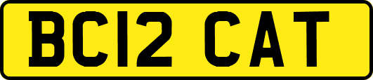 BC12CAT
