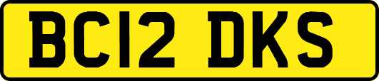 BC12DKS