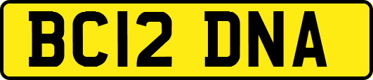 BC12DNA