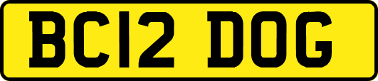 BC12DOG