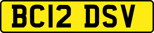 BC12DSV