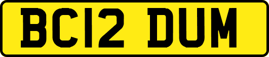BC12DUM