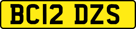 BC12DZS