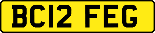 BC12FEG