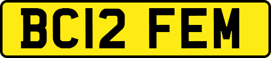 BC12FEM
