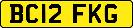 BC12FKG