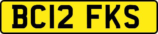 BC12FKS