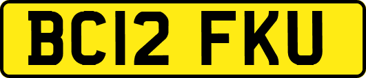 BC12FKU