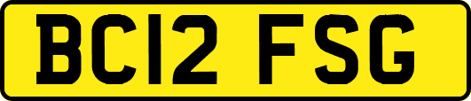 BC12FSG