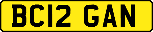 BC12GAN