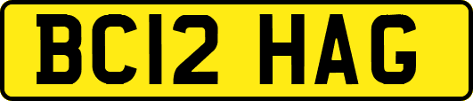 BC12HAG