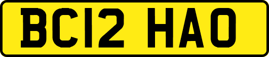 BC12HAO