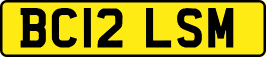 BC12LSM