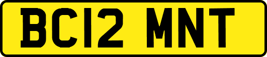 BC12MNT