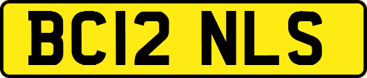 BC12NLS
