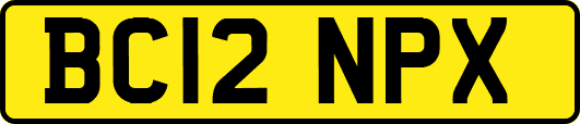 BC12NPX