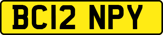 BC12NPY