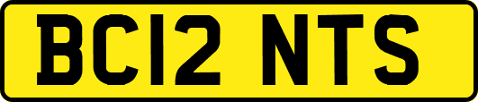 BC12NTS