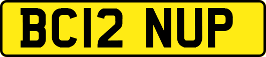 BC12NUP