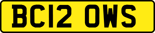 BC12OWS