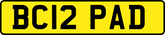 BC12PAD