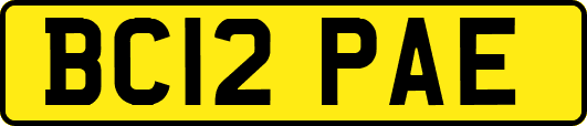 BC12PAE