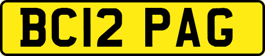 BC12PAG