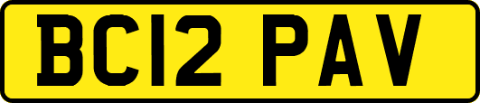 BC12PAV