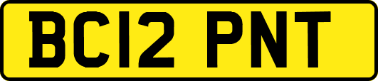 BC12PNT