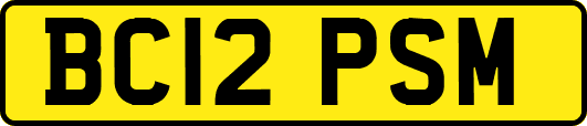 BC12PSM