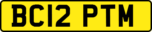BC12PTM