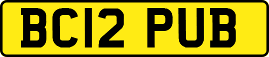 BC12PUB