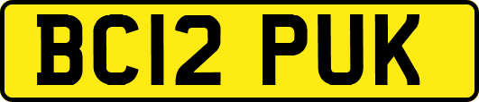 BC12PUK